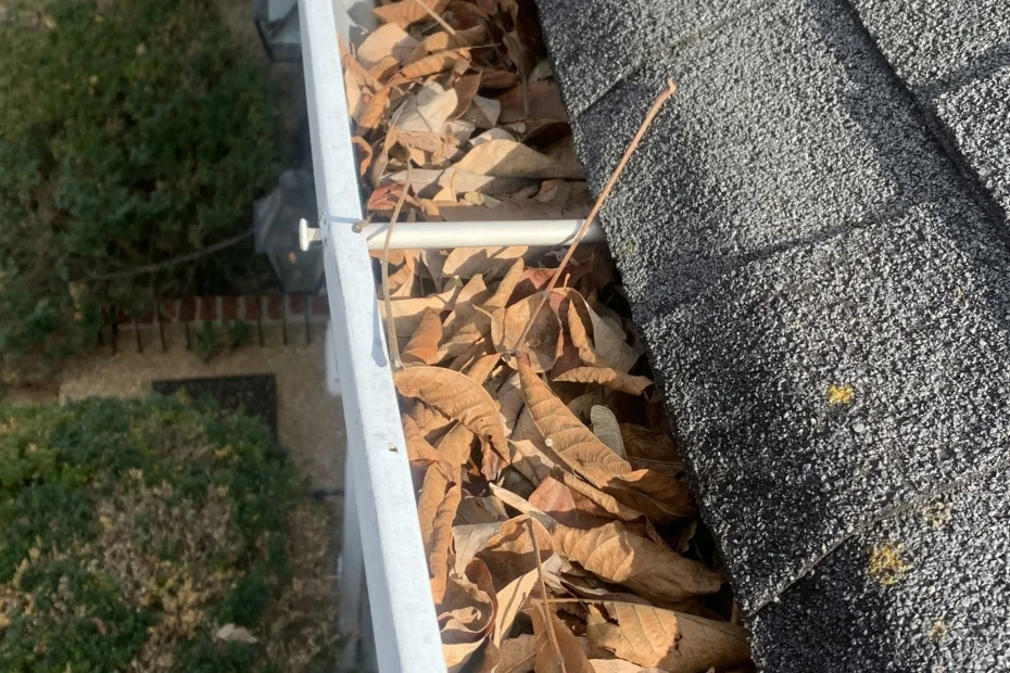 Gutter Cleaning Triana