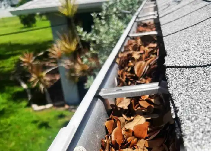 Gutter Cleaning Triana home page